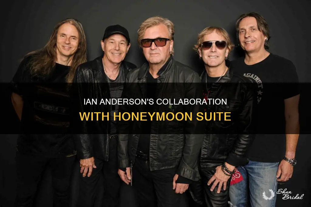 did ian anderson ever play with honeymoon suite