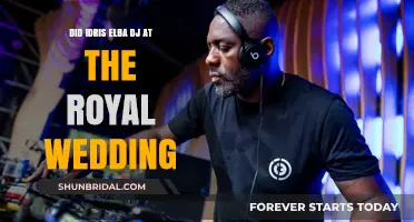 Idris Elba's Royal Wedding DJ Set: Fact or Fiction?