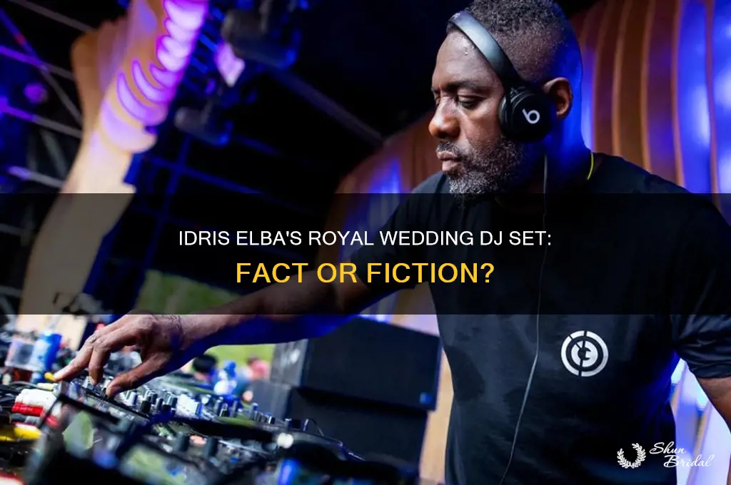 did idris elba dj at the royal wedding