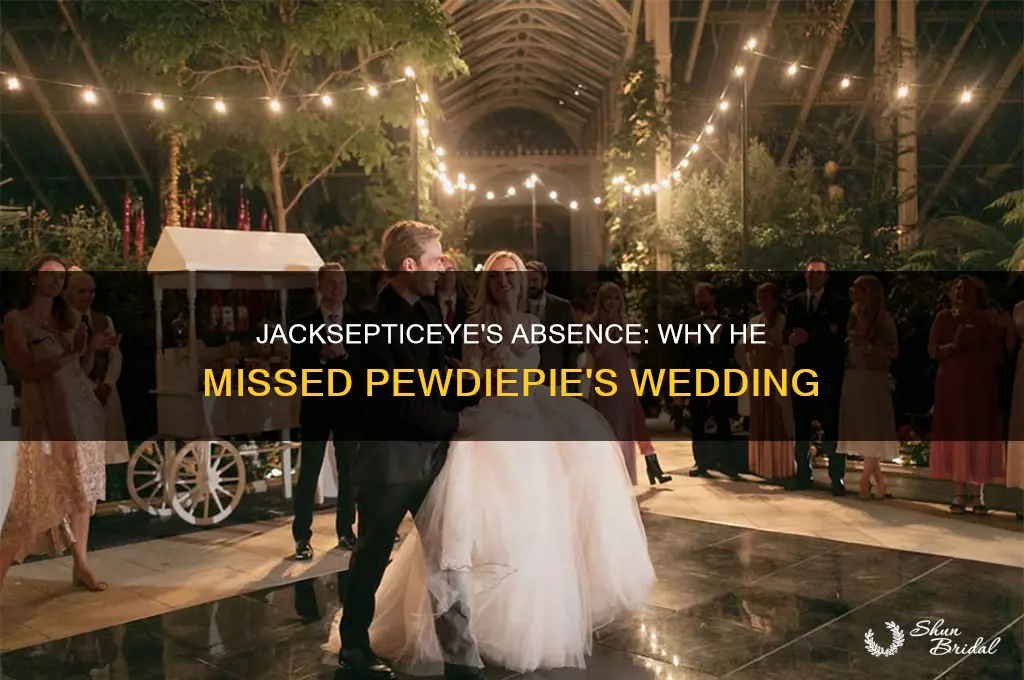 did jacksepticeye go to pewdiepie wedding