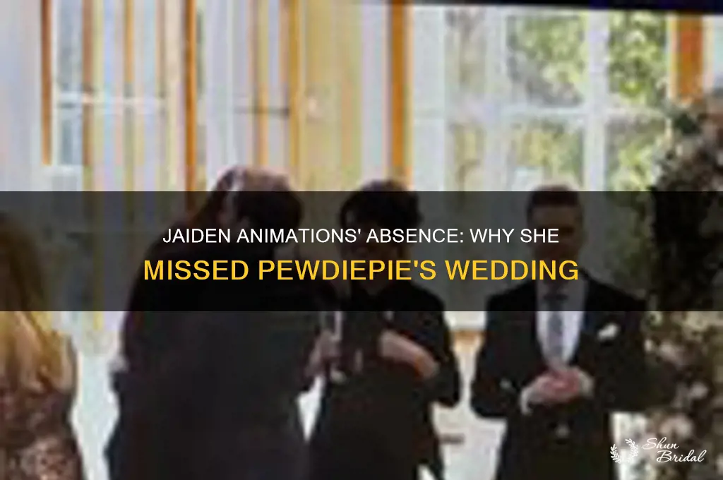 did jaiden animations go to pewdiepie