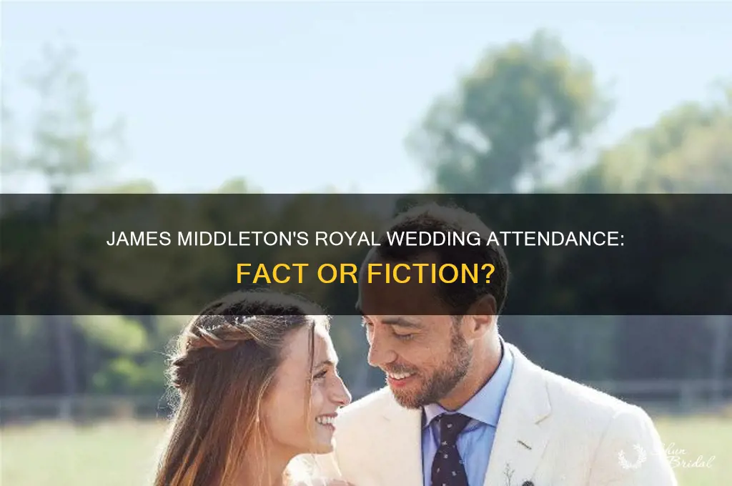 did james middleton go to the royal wedding
