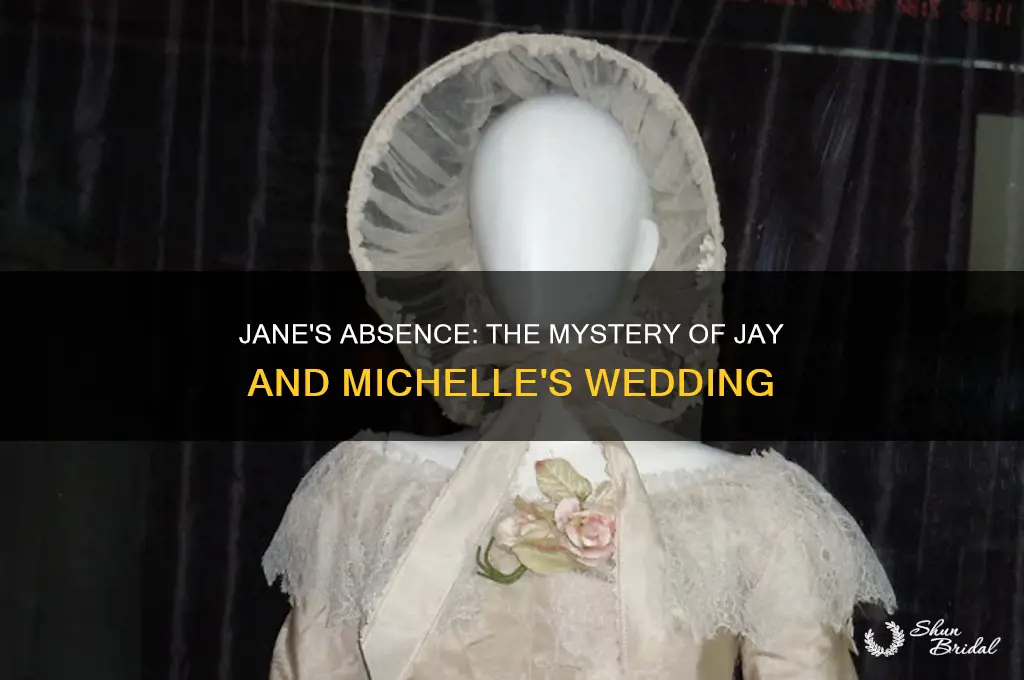 did jane go to jay and michelle