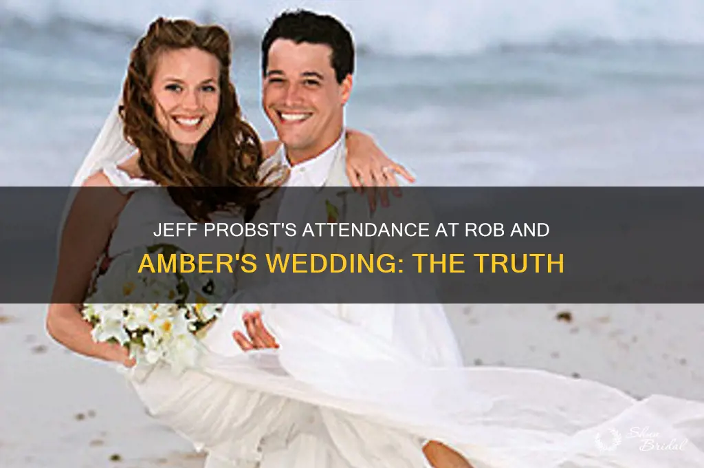 did jeff probst go to rob and amber