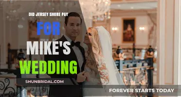 Jersey Shore Cast's Role in Funding Mike's Wedding: Fact Check