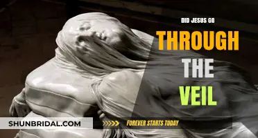 Did Jesus Go Through the Veil? Exploring the Biblical Mystery