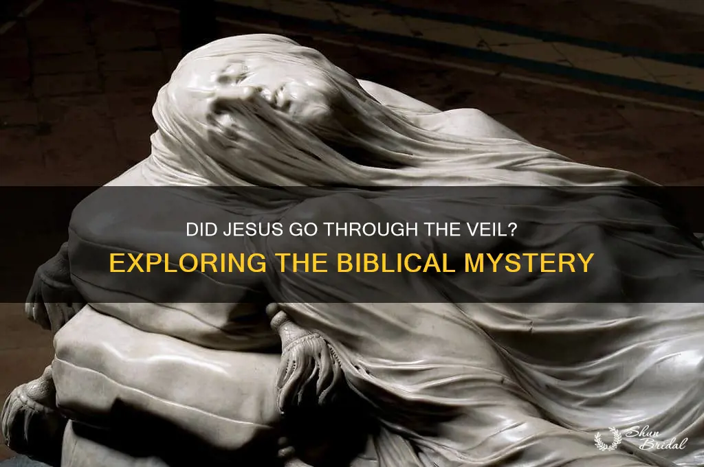 did jesus go through the veil