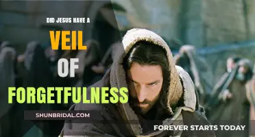 Did Jesus Experience a Veil of Forgetfulness? Exploring the Mystery
