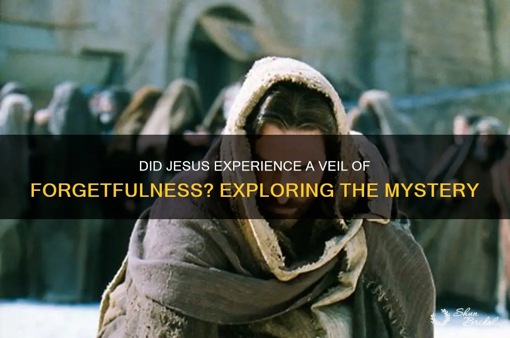 did jesus have a veil of forgetfulness