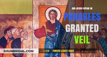 Did Jesus Speak in Parables to Grant a Veil of Mystery?