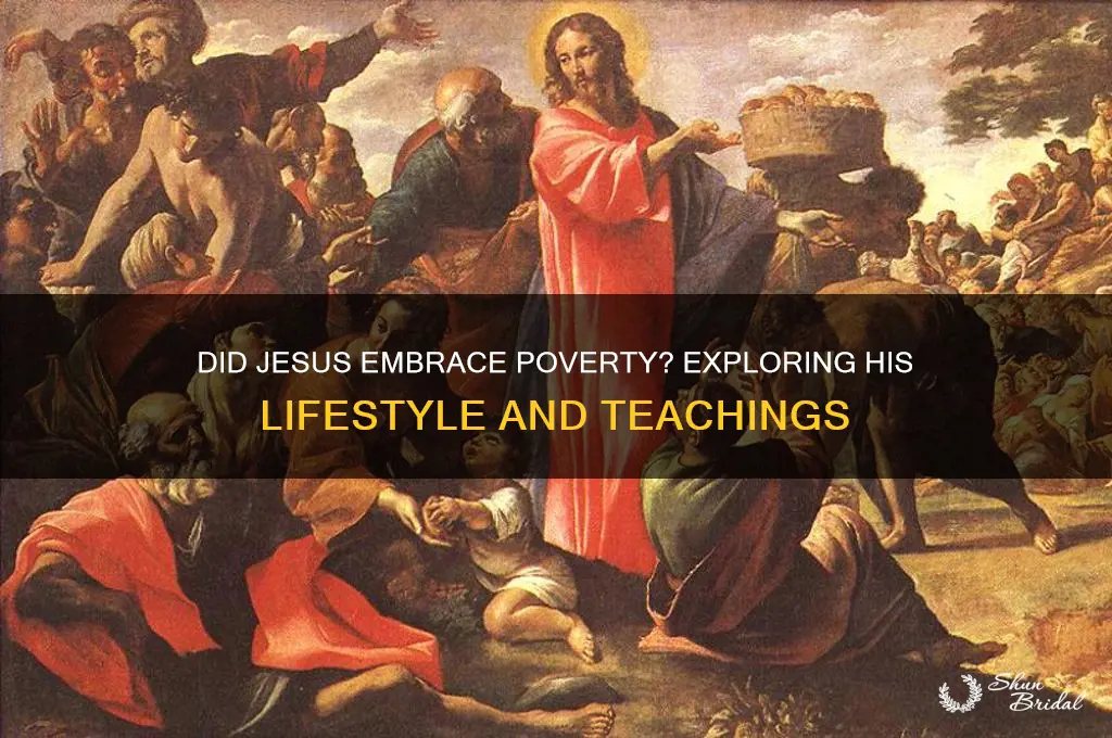 did jesus take a vow of poverty