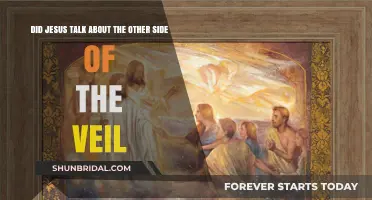 Jesus and the Veil: Exploring His Teachings on the Beyond
