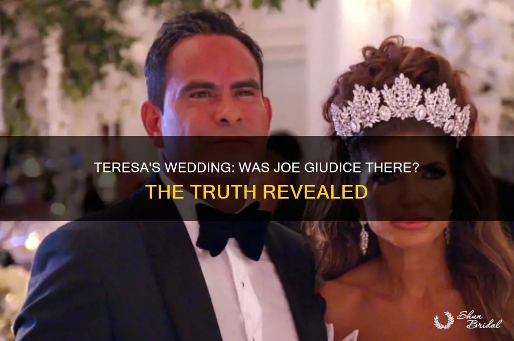 did joe giudice go to teresa