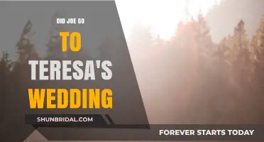 Joe's Absence at Teresa's Wedding: What Really Happened?