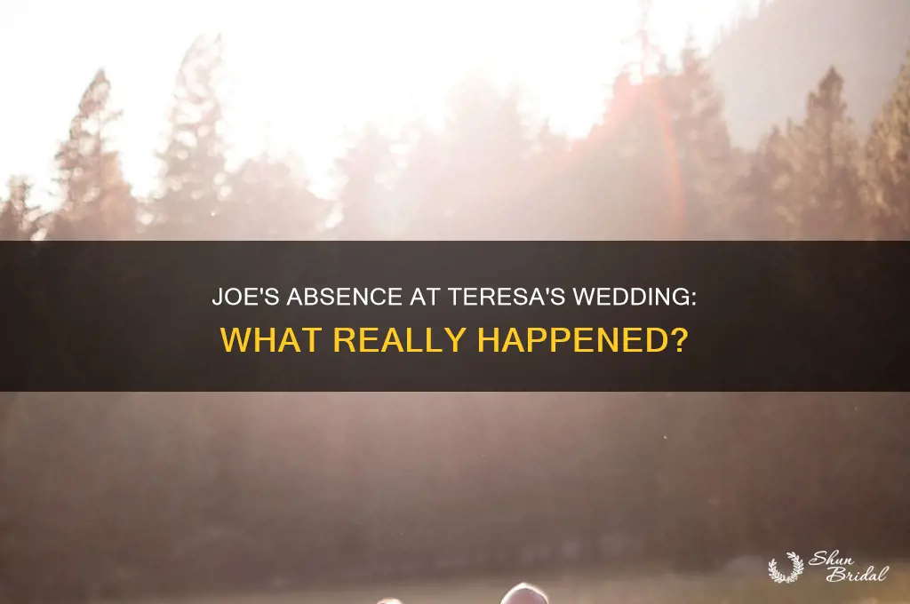 did joe go to teresa