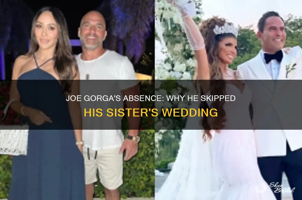 did joe gorga go to his sister