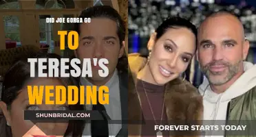 Joe Gorga's Absence: Why He Missed Teresa's Wedding