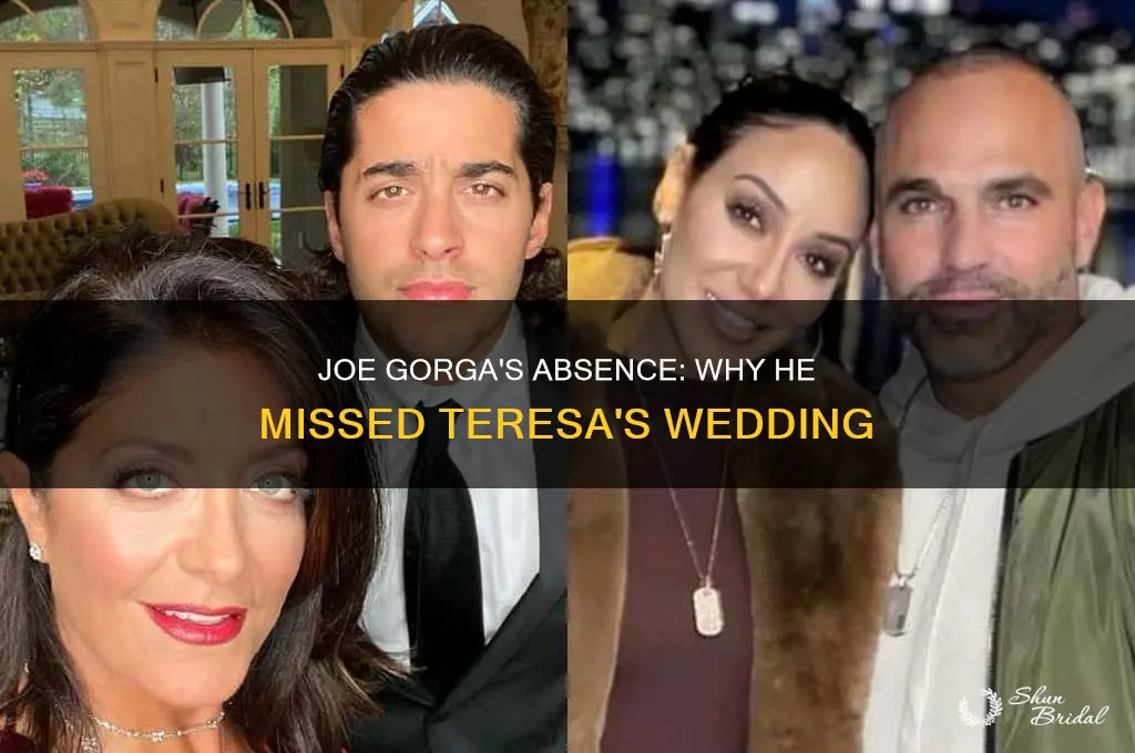 did joe gorga go to teresa