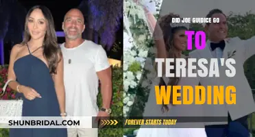 Joe Giudice's Absence: Why He Missed Teresa's Wedding