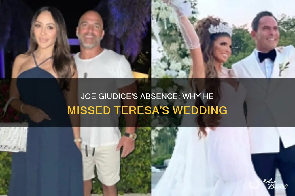 did joe guidice go to teresa