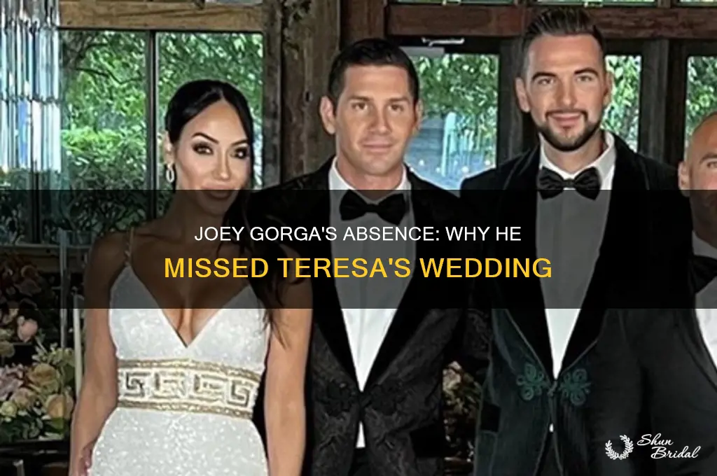 did joey gorga go to teresa wedding