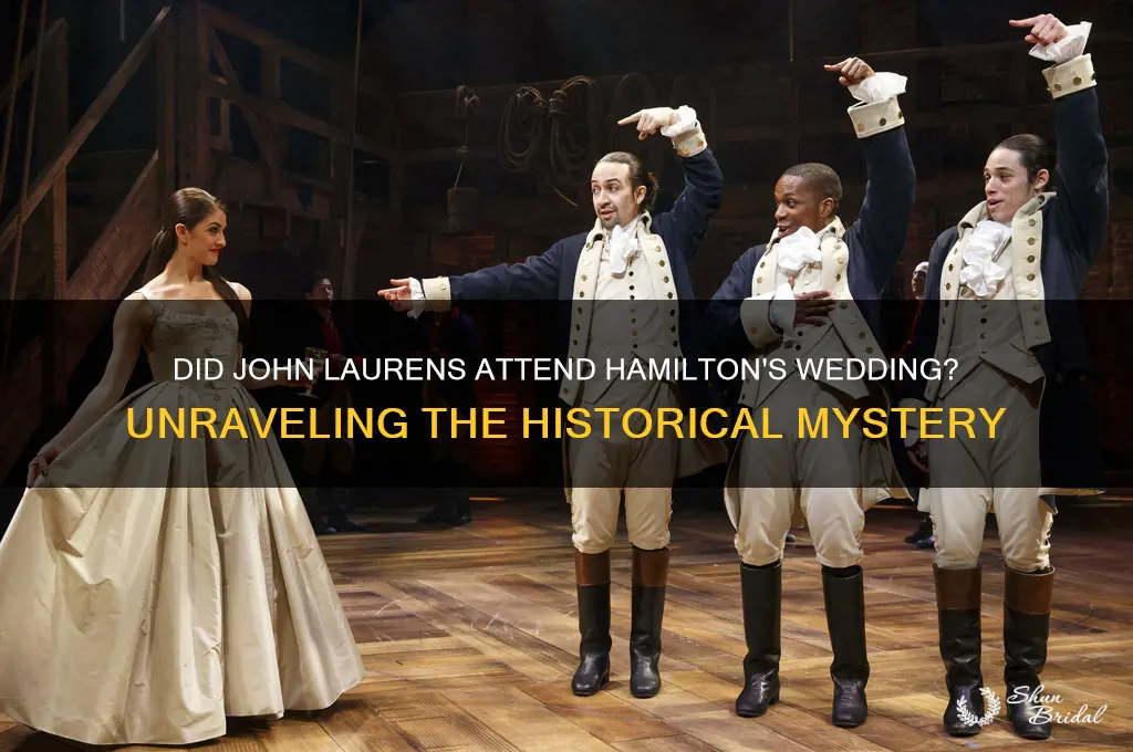 did john laurens go to hamilton