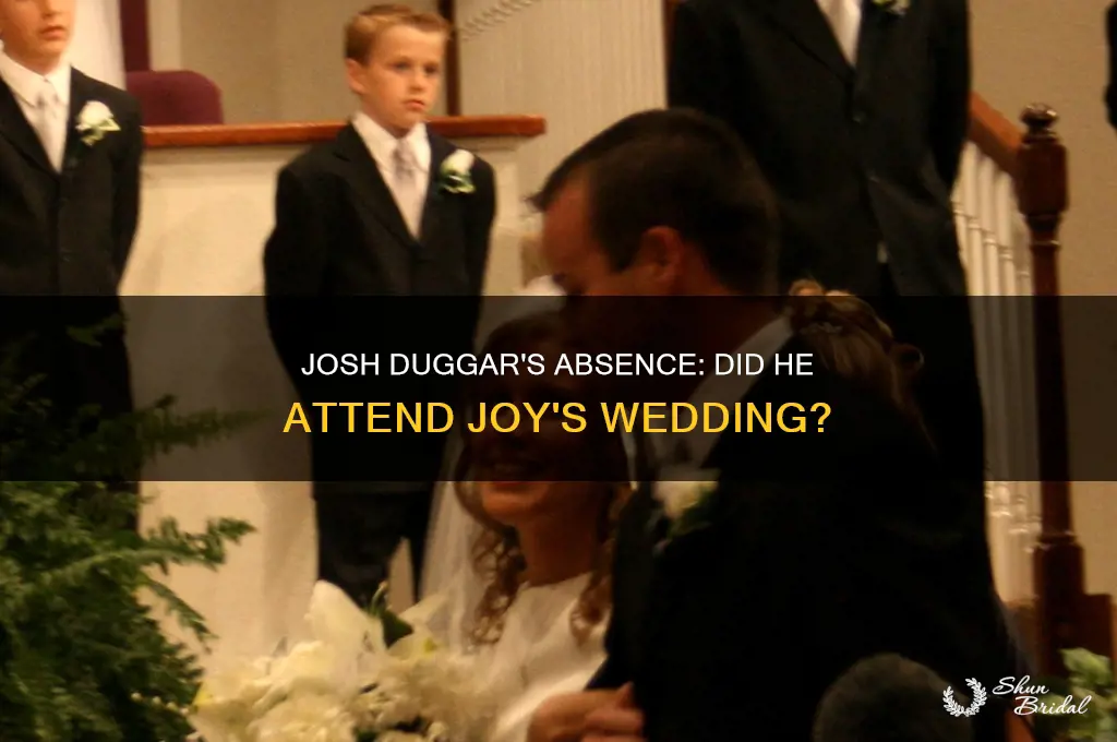 did josh duggar go to joy