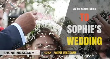 Kit Harington's Absence: Did He Attend Sophie's Wedding?