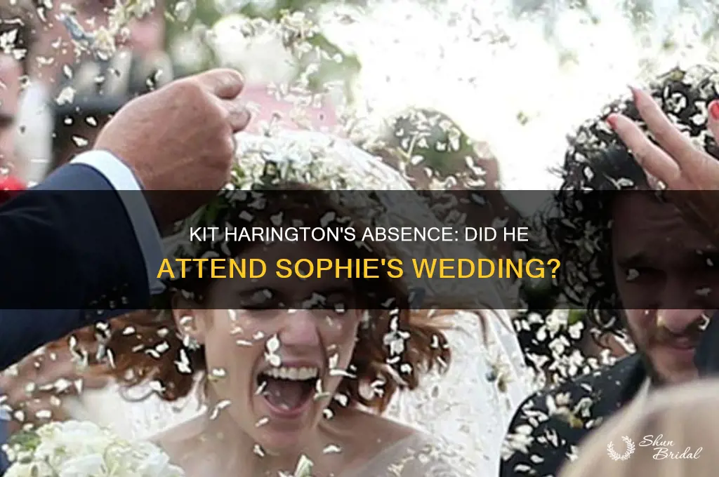 did kit harington go to sophie