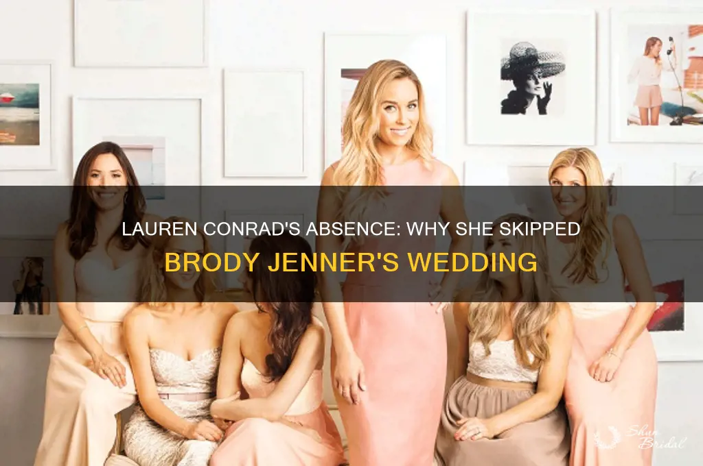 did lauren conrad go to brody