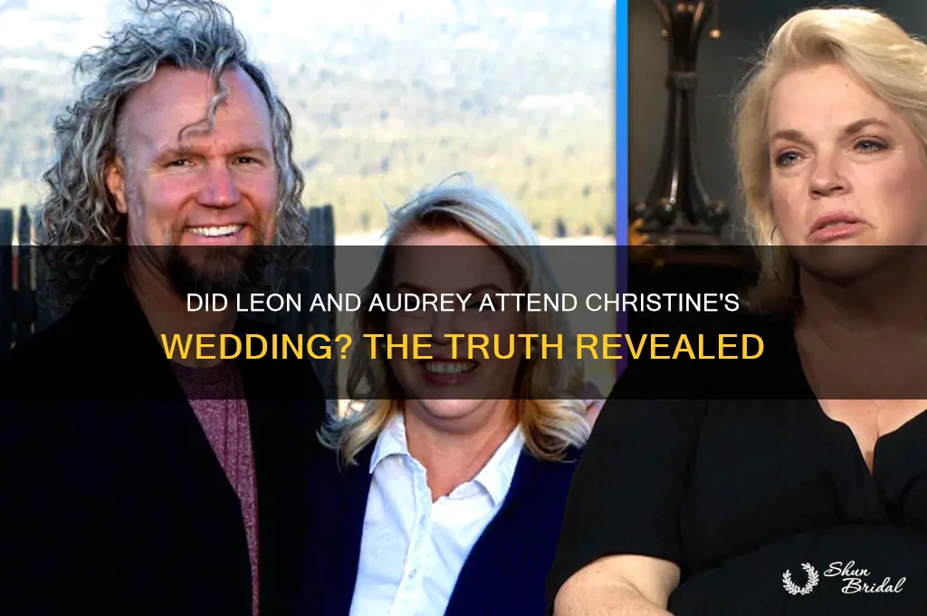 did leon and audrey go to christine