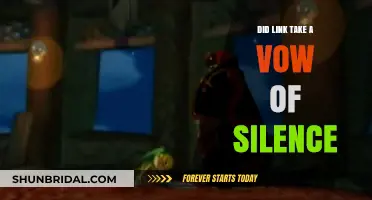 Did Link Take a Vow of Silence? Exploring the Legend of Zelda's Hero