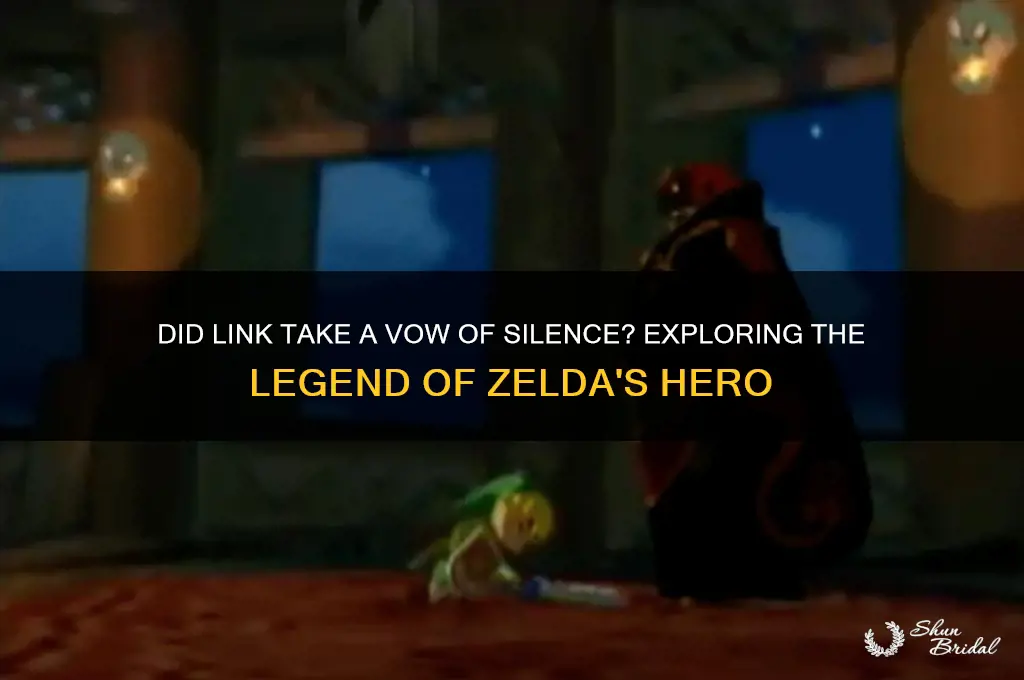 did link take a vow of silence