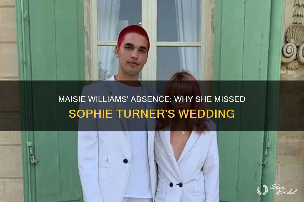 did maisie williams go to sophie