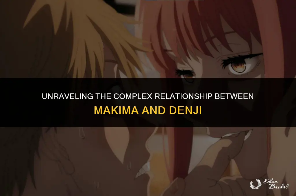 did makima groom denji
