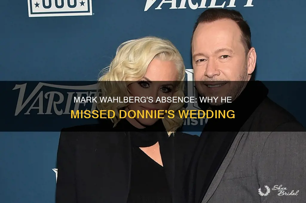 did mark wahlberg go to donnie
