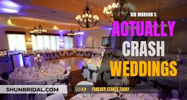 Maroon 5's Wedding Crashing Shenanigans: Fact or Fiction?