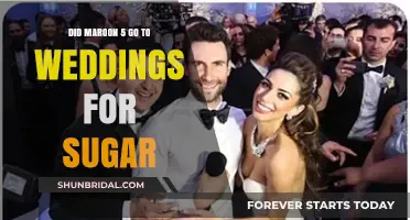 Maroon 5's Wedding Performances: Fact-Checking the 'Sugar' Rumors