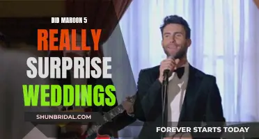 Maroon 5's Wedding Surprises: Did They Really Do That?