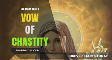 Did Mary Take a Vow of Chastity? Exploring the Virgin Mary's Life