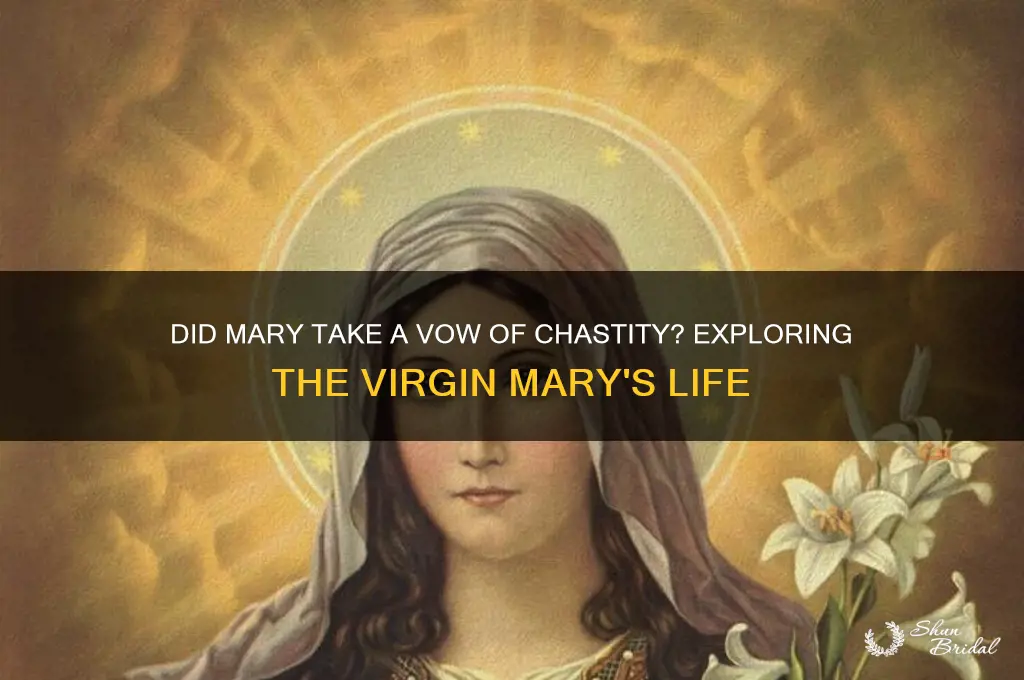 did mary take a vow of chastity