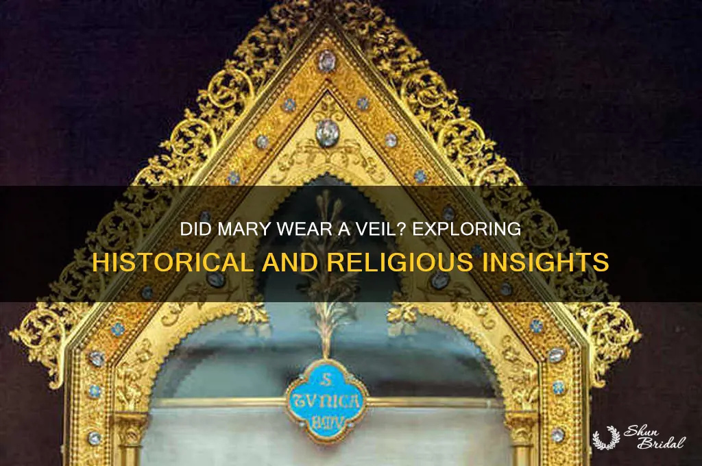 did mary wear a veil
