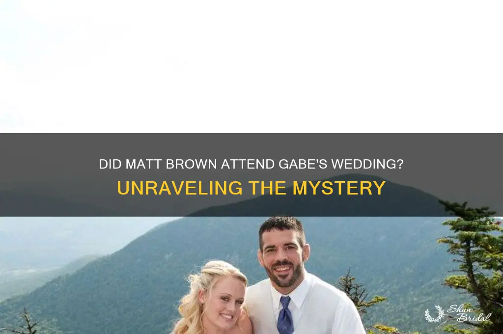 did matt brown go to gabe