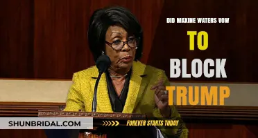 Maxine Waters' Pledge: Blocking Trump's Agenda and Policies Explained