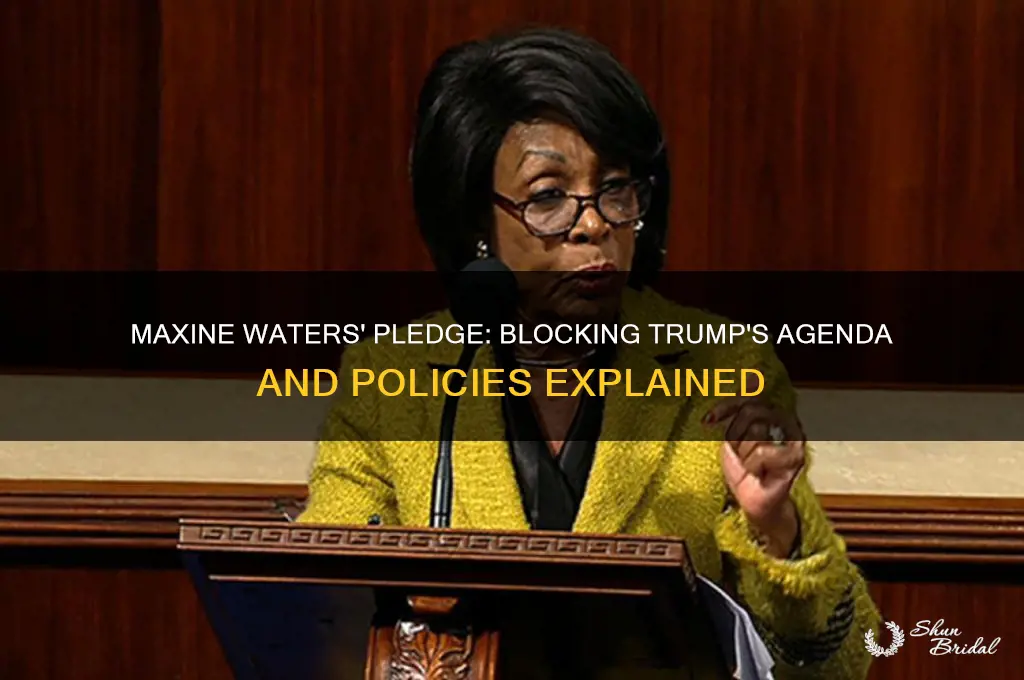 did maxine waters vow to block trump