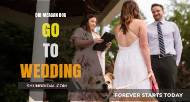 Did Meagan Bring Her Dog to the Wedding? The Truth Revealed