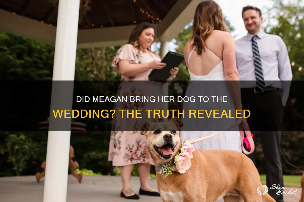 did meagan dog go to wedding