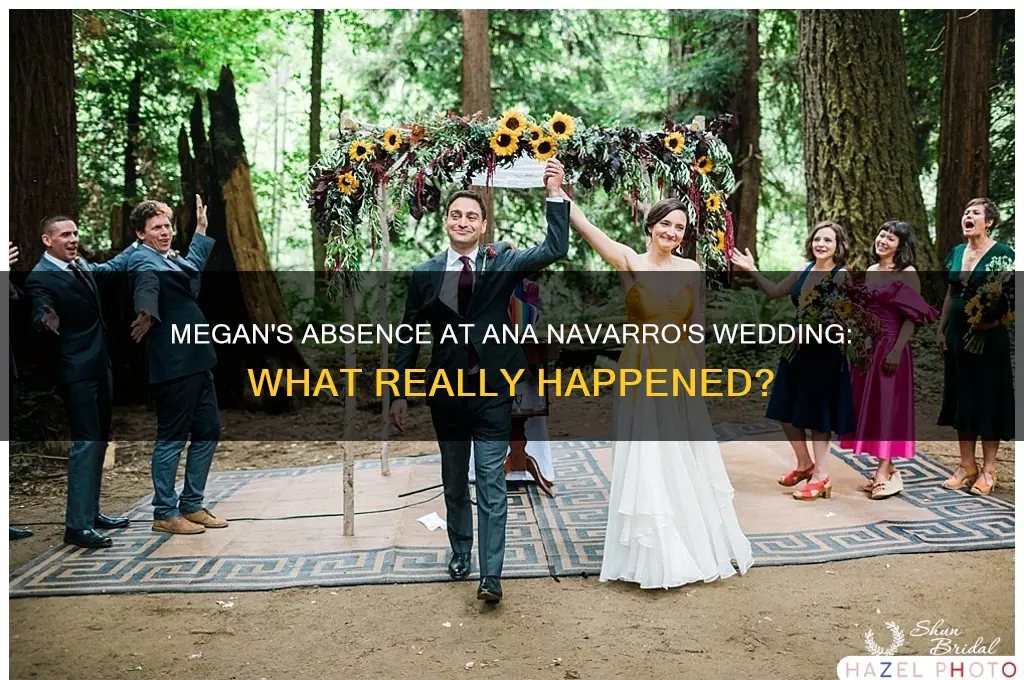 did megan go to ana navarro