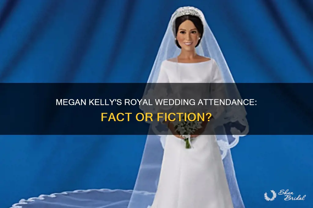 did megan kelly go to the royal wedding