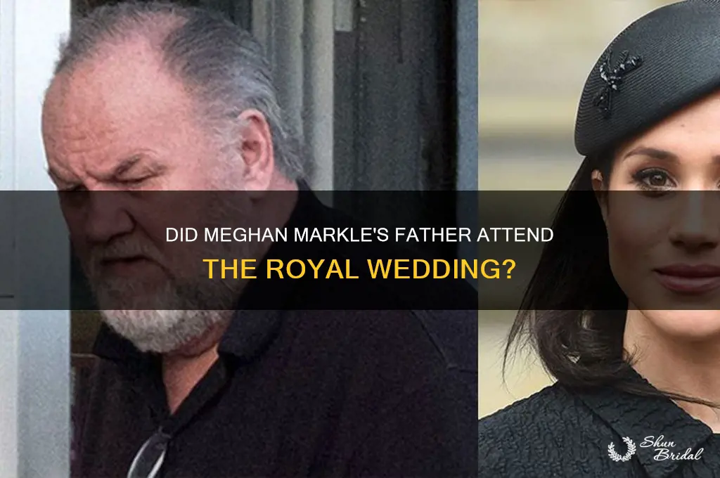 did megan markle